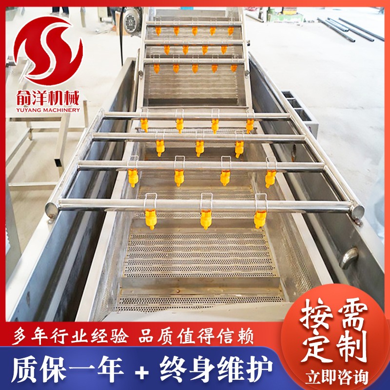 全自动果蔬气泡清洗机 喷淋式气泡清洗机 不锈钢叶菜大枣清洗线图2