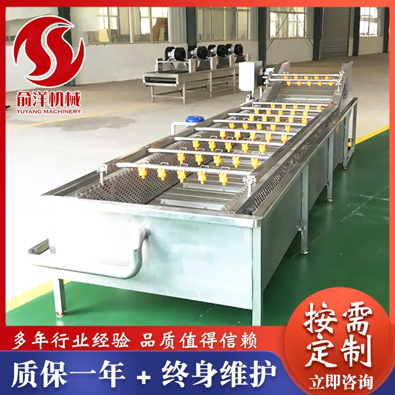 全自动果蔬气泡清洗机 喷淋式气泡清洗机 不锈钢叶菜大枣清洗线图3