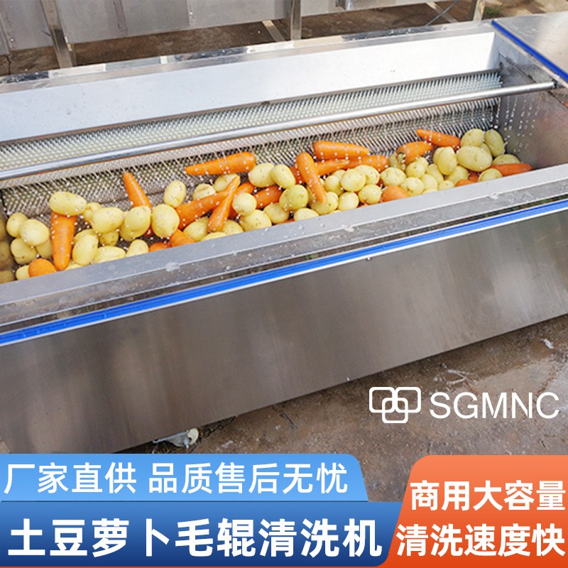 毛辊清洗去皮机大型土豆萝卜红薯生姜芋头清洗机天麻马蹄生蚝商用图3