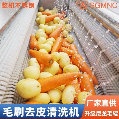 毛辊清洗去皮机大型土豆萝卜红薯生姜芋头清洗机天麻马蹄生蚝商用