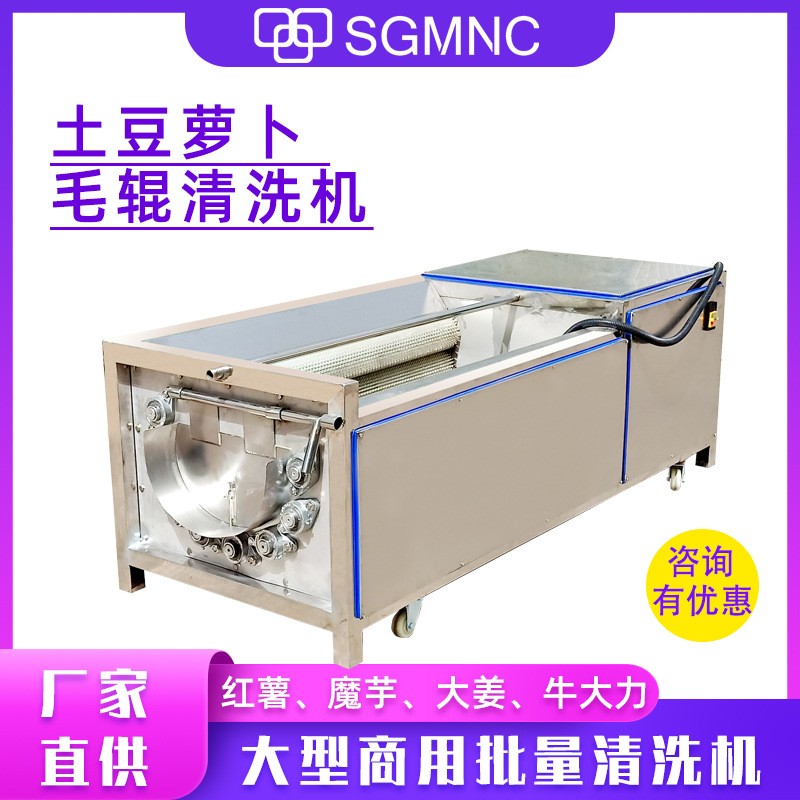 毛辊清洗去皮机大型土豆萝卜红薯生姜芋头清洗机天麻马蹄生蚝商用图5