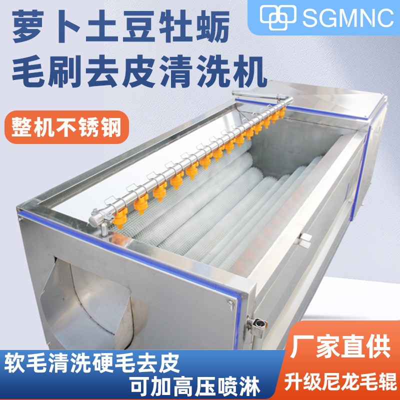 毛辊清洗去皮机大型土豆萝卜红薯生姜芋头清洗机天麻马蹄生蚝商用图2