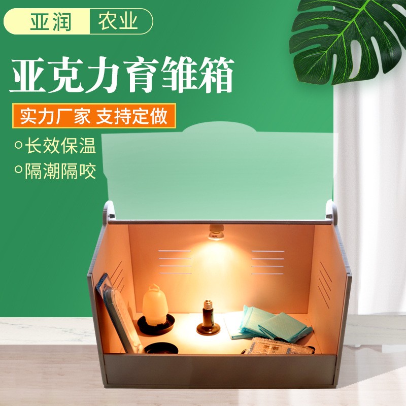 源头商家芦丁鸡饲养保温箱恒温小鸡育雏爬宠专用笼亚力克育雏箱图4