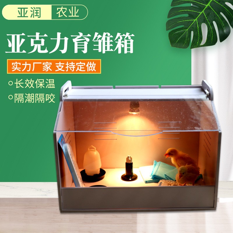 源头商家芦丁鸡饲养保温箱恒温小鸡育雏爬宠专用笼亚力克育雏箱图3
