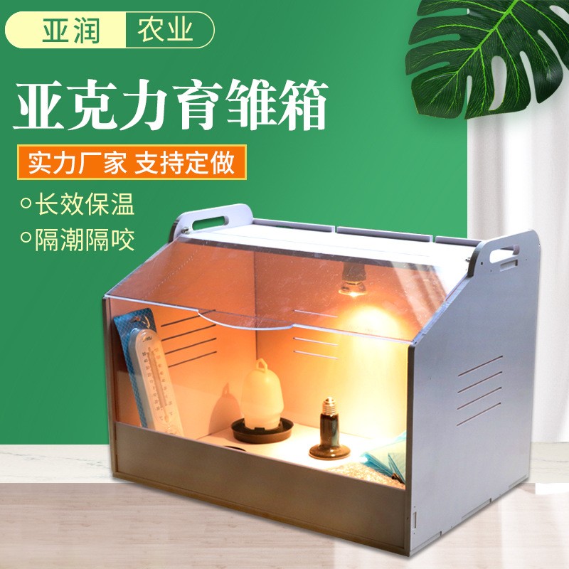 源头商家芦丁鸡饲养保温箱恒温小鸡育雏爬宠专用笼亚力克育雏箱图2