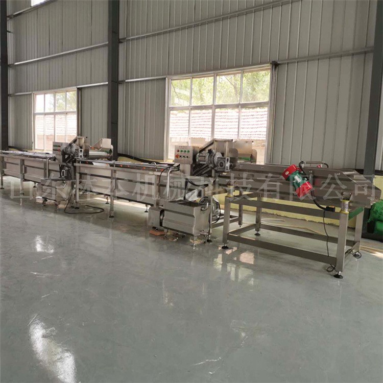 商用菠萝涡流清洗机 不锈钢蔬菜洗菜清洗机 全自动净菜流水线洗菜图2