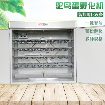 定制全自动智能鸵鸟种蛋孵化机器鸸鹋孵化箱孵化器孵蛋器