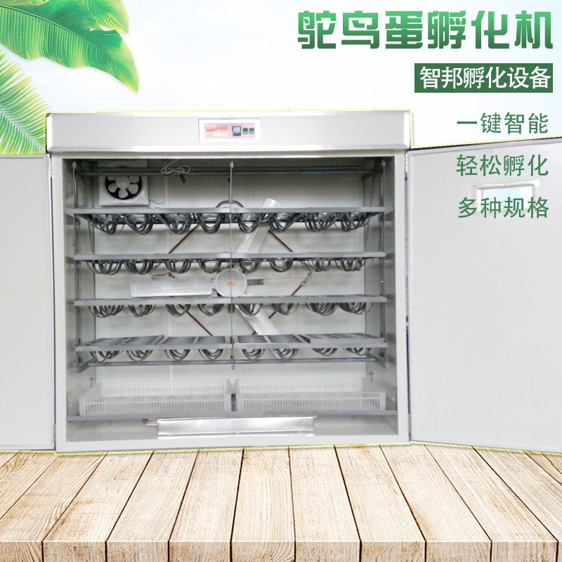 定制全自动智能鸵鸟种蛋孵化机器鸸鹋孵化箱孵化器孵蛋器图2