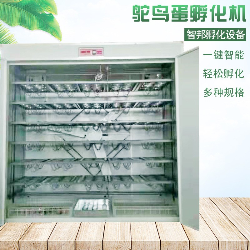 定制全自动智能鸵鸟种蛋孵化机器鸸鹋孵化箱孵化器孵蛋器图4