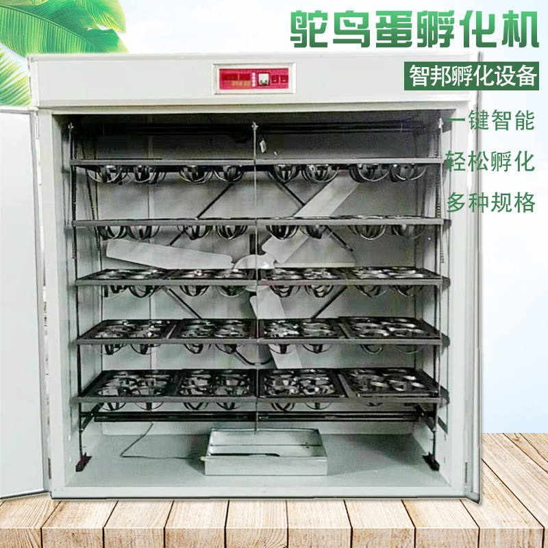 定制全自动智能鸵鸟种蛋孵化机器鸸鹋孵化箱孵化器孵蛋器图3
