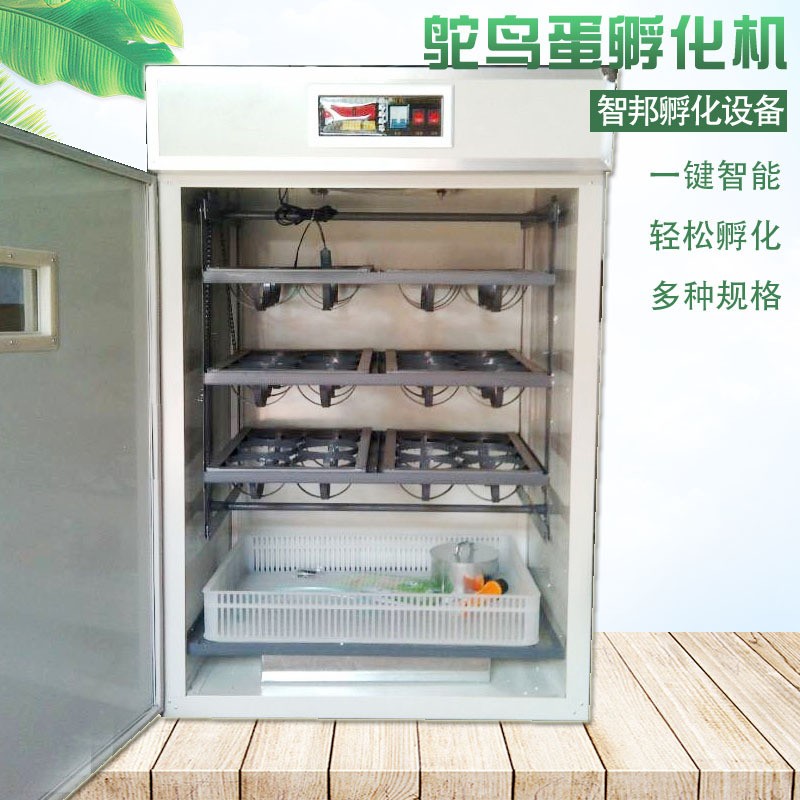 定制全自动智能鸵鸟种蛋孵化机器鸸鹋孵化箱孵化器孵蛋器图5