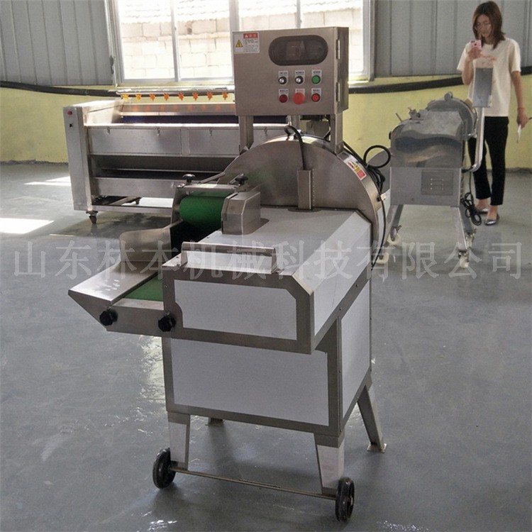 商用切菜机大头菜切丝设备 芹菜段加工设备切菜机 叶菜类切菜机图5