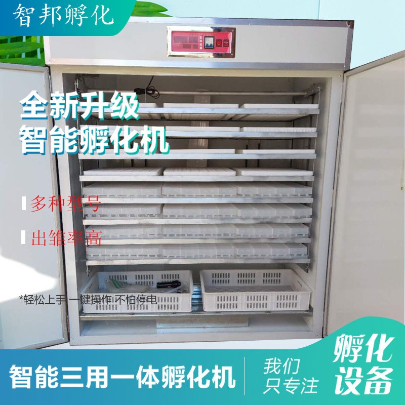 2112中小型智能孵化箱家禽鸡蛋种蛋孵蛋器鸭鹅孵化器全自动孵化机图4