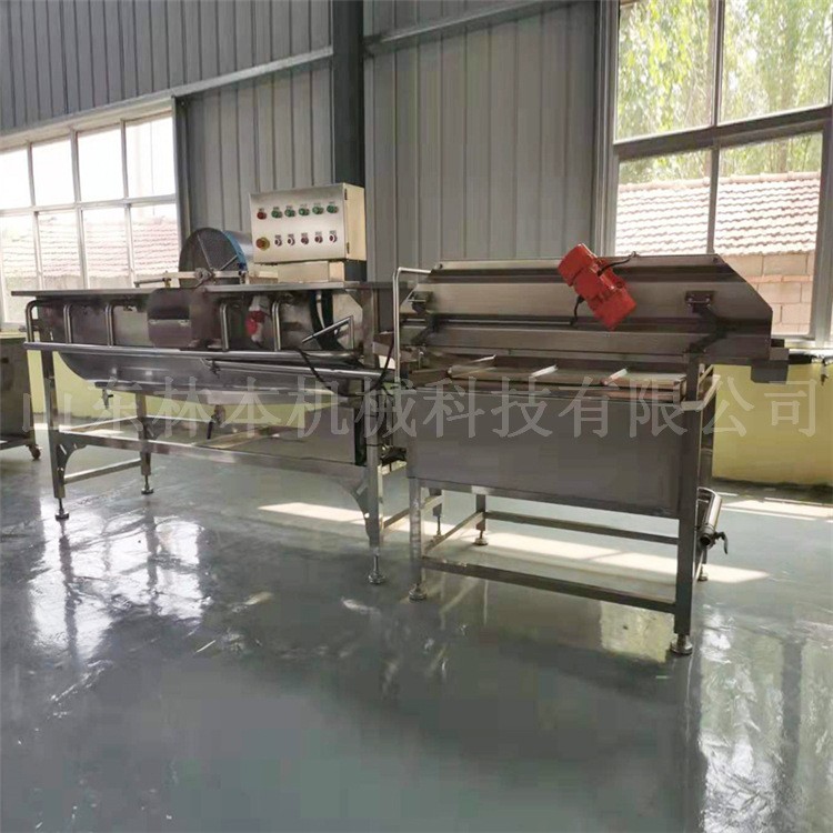 商用蔬菜消毒清洗设备 净菜加工设备洗菜机 果蔬涡流洗菜机清洗机图4