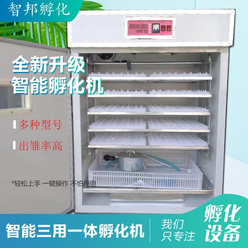 880出厂价鸡鸭鹅鸽鸟孔雀蛋孵化器孵化箱小鸡孵蛋器孵化机全自动图3