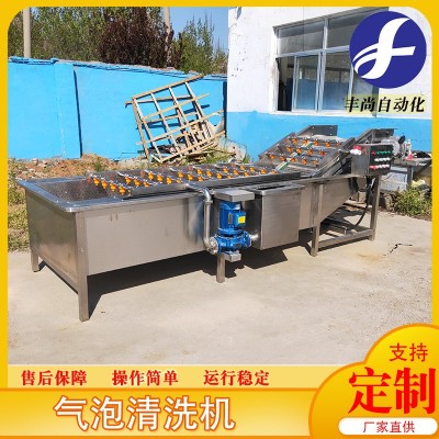 小龙虾圣女果高压气泡清洗 小油菜果蔬清洗机 净菜清洗流水线设备