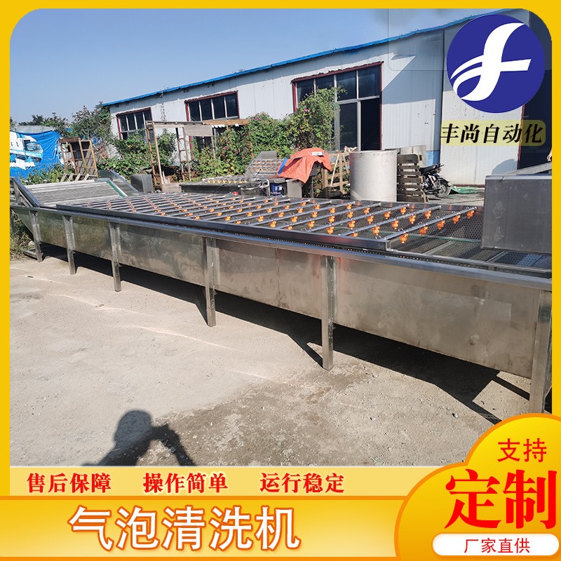 小龙虾圣女果高压气泡清洗 小油菜果蔬清洗机 净菜清洗流水线设备图5