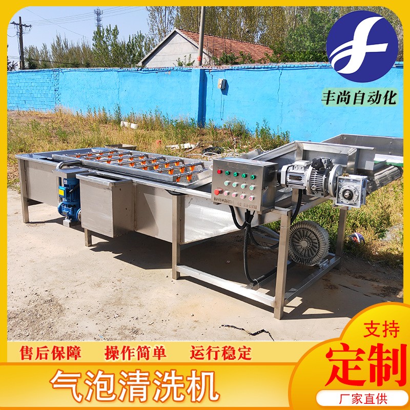 小龙虾圣女果高压气泡清洗 小油菜果蔬清洗机 净菜清洗流水线设备图2