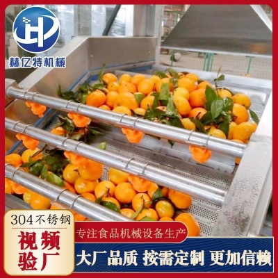 商用食堂不锈钢果蔬清洗机 蔬菜大枣气泡清洗机 多功能海带洗菜机