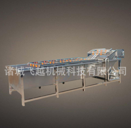 气浴式海鲜果蔬清洗设备 中药材气泡清洗机 海带翻浪式气泡清洗机图5