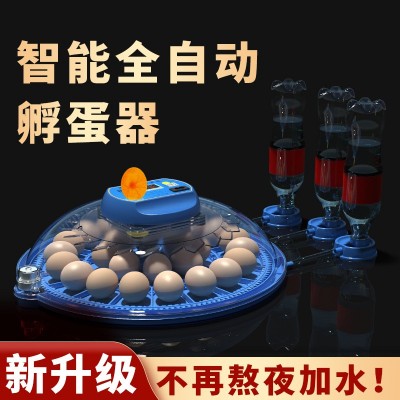 批发孵化机 智能孵化箱小型家用孵化器小鸡鸭鹅孵化箱鸽子 孵蛋器