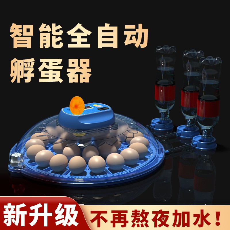 批发孵化机 智能孵化箱小型家用孵化器小鸡鸭鹅孵化箱鸽子 孵蛋器图2