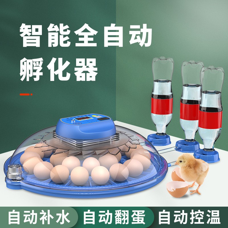 批发孵化机 智能孵化箱小型家用孵化器小鸡鸭鹅孵化箱鸽子 孵蛋器图4