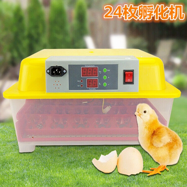 家用卵化器迷你48枚孵化设备24小型全自动56枚孵化机孵化器孵化机图2