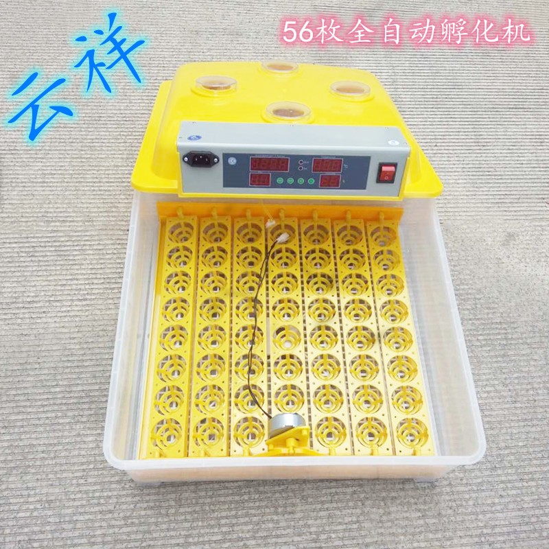 家用卵化器迷你48枚孵化设备24小型全自动56枚孵化机孵化器孵化机图4