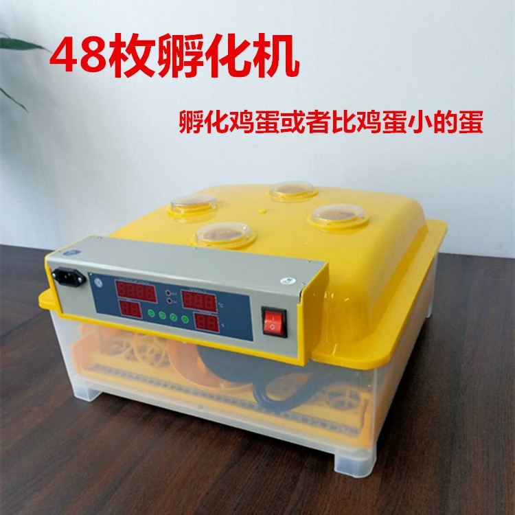孵化器 家用迷你鸡孵化设备48枚孵化箱36梅花56枚家禽 小型孵蛋机图3
