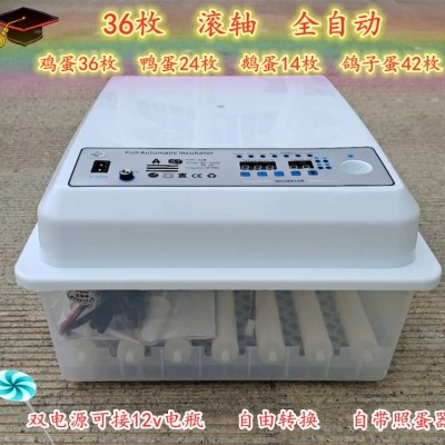 孵化机家用 滚轴鸡鸭鹅卵蛋36枚孵蛋小型迷你孵化箱全自动 孵蛋器