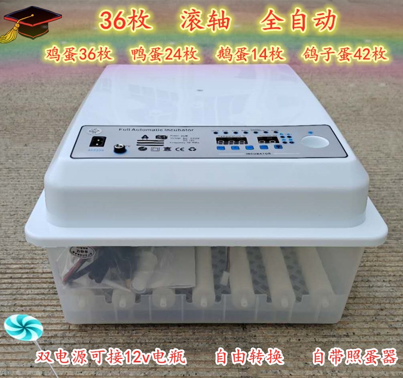 孵化机家用 滚轴鸡鸭鹅卵蛋36枚孵蛋小型迷你孵化箱全自动 孵蛋器图2
