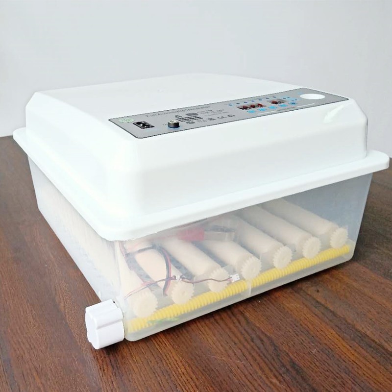 孵化机家用 滚轴鸡鸭鹅卵蛋36枚孵蛋小型迷你孵化箱全自动 孵蛋器图4