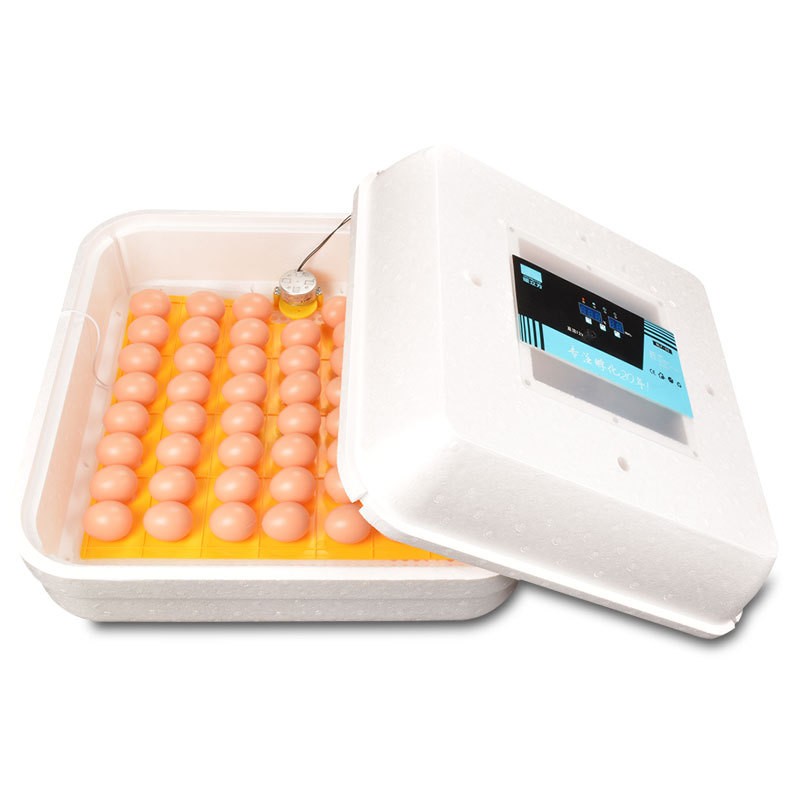 暖立方厂家长期供应批发小型全自动孵化机家用型孵化器小鸡孵化器图4