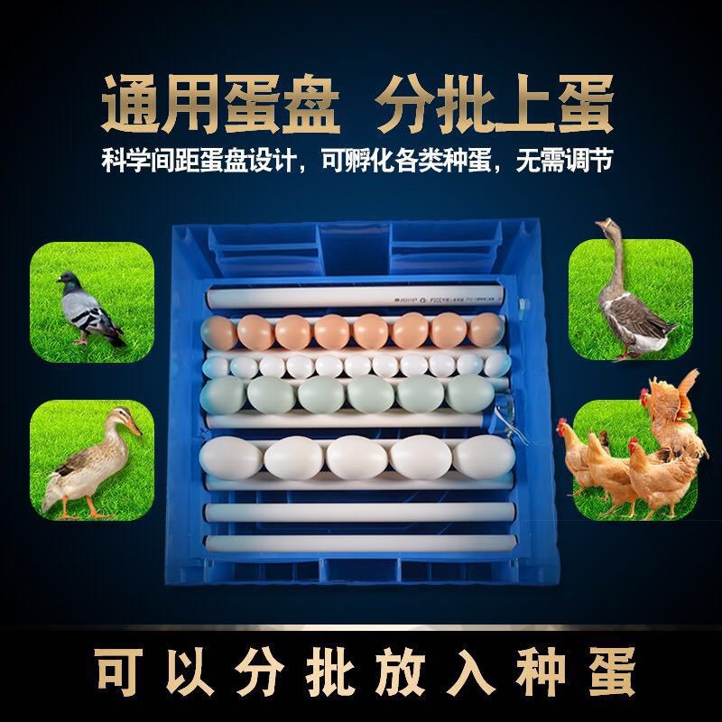 暖立方长期供应厂家直销批发孵化机全自动小型家用型孵化器鸡鸭鹅图3