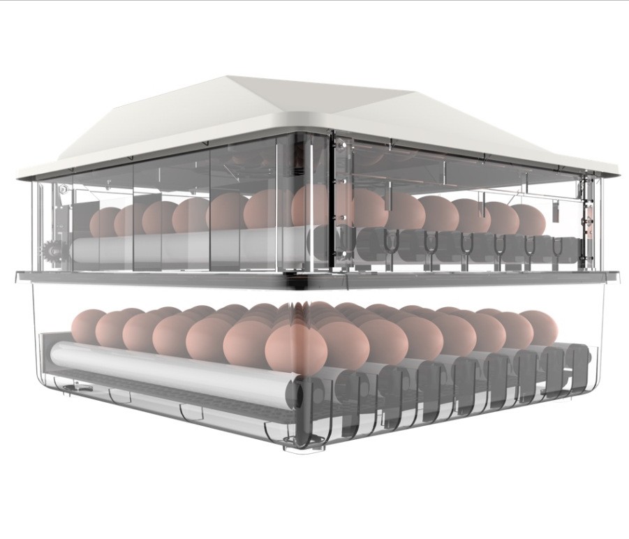 152枚家用小型孵化机鸡苗孵化箱全自动智能孵化器图5