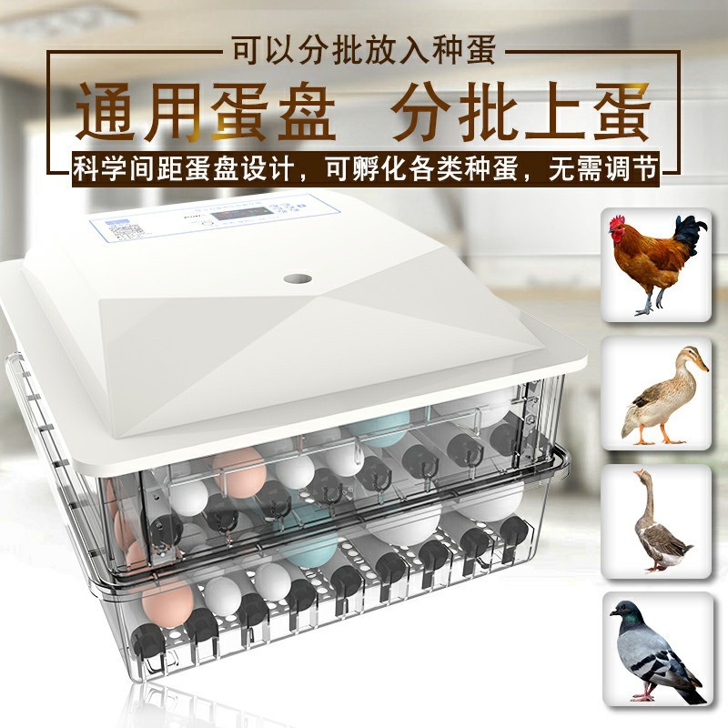 152枚家用小型孵化机鸡苗孵化箱全自动智能孵化器图3