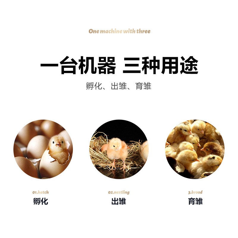 暖立方牌孵化机全自动家用型孵化器鸡鸭鹅鸽子小型卵化器厂家直销图4
