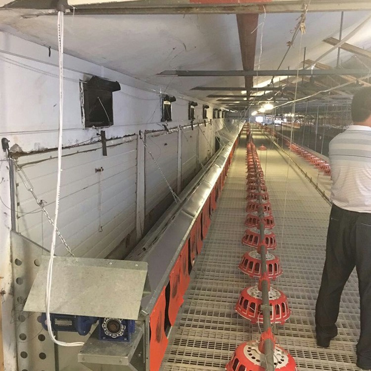 山东销售鸡用产蛋箱畜牧机械自动集蛋式产蛋箱禽类集蛋窝欢迎咨询图3