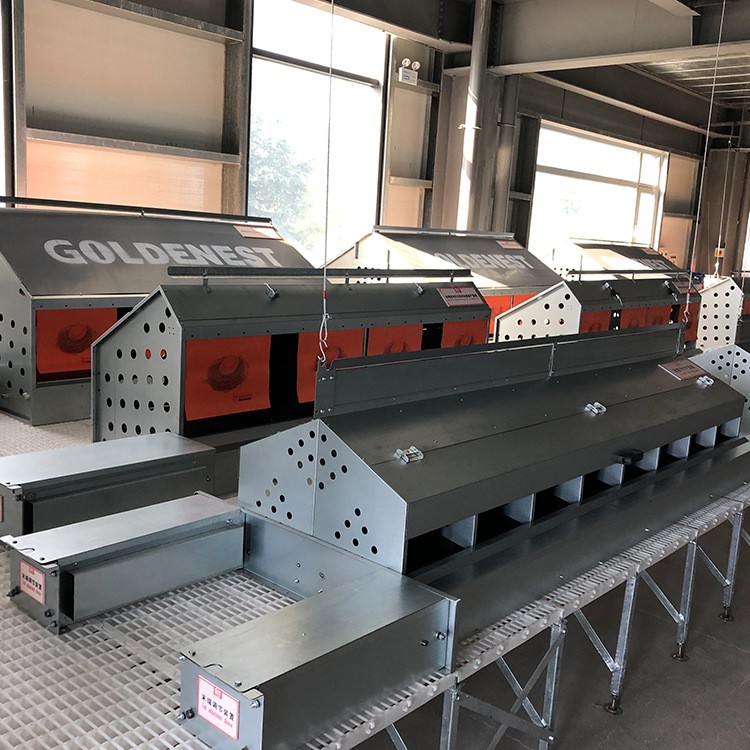 山东销售鸡用产蛋箱畜牧机械自动集蛋式产蛋箱禽类集蛋窝欢迎咨询图2