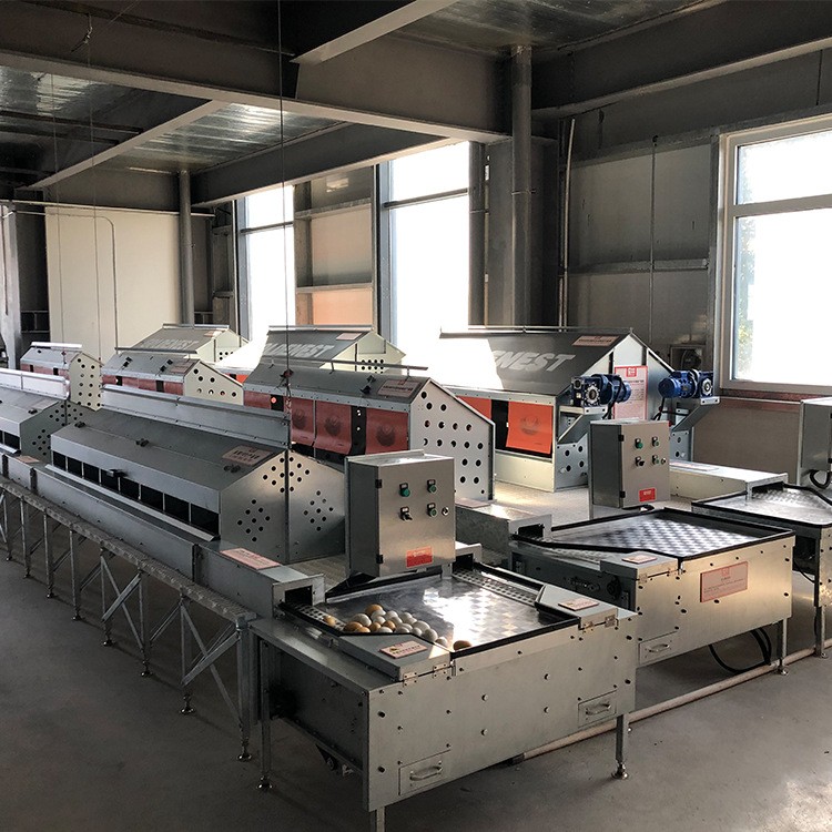 山东销售鸡用产蛋箱畜牧机械自动集蛋式产蛋箱禽类集蛋窝欢迎咨询图4