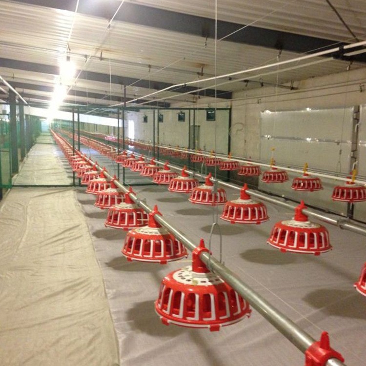 自动喂料系统 种鸡盘式料线 养殖业机械 鸡用食槽饲喂设备图5