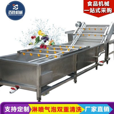 商用车厘子果蔬清洗机 全自动气泡清洗机 高压喷淋大姜洗菜机