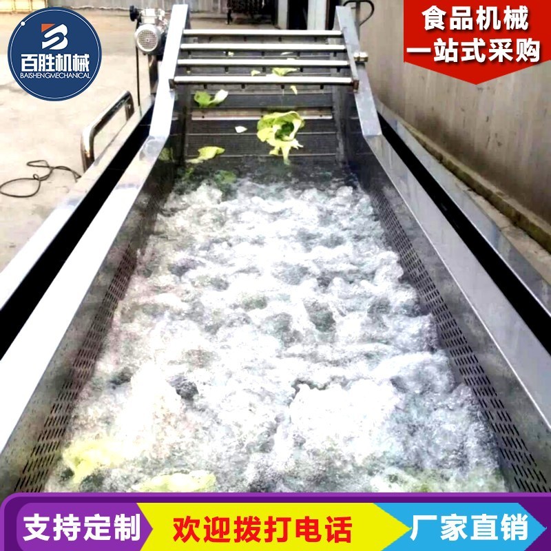 商用车厘子果蔬清洗机 全自动气泡清洗机 高压喷淋大姜洗菜机图5