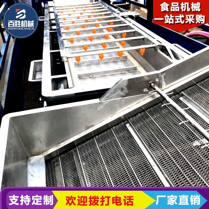 商用车厘子果蔬清洗机 全自动气泡清洗机 高压喷淋大姜洗菜机图2