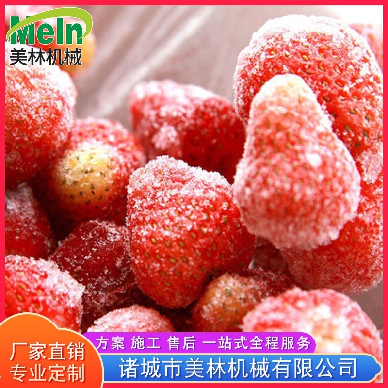 隧道式速冻机 低温冷藏保鲜速冻设备 水饺汤圆豆沙包食品速冻机图3