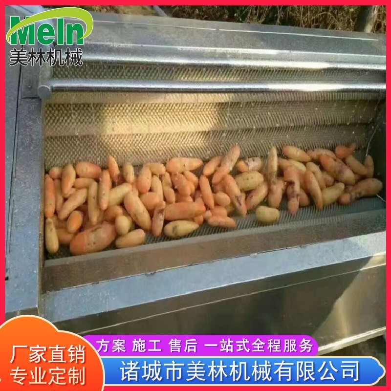 土豆根茎类毛辊清洗机 海蛎子扇贝毛刷去泥清洗机 全自动清洗设备图2
