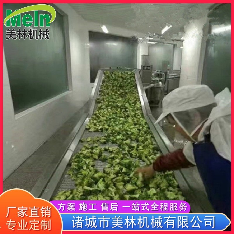 全自动气泡大枣清洗机 不锈钢多功能竹笋果蔬清洗机 净菜清洗设备图3