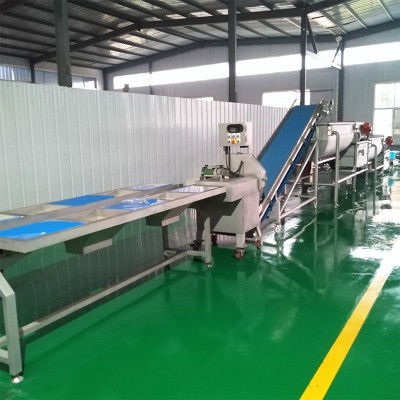 挑选台 分拣输送机304不锈钢果蔬净菜带式分拣台六工位挑选台