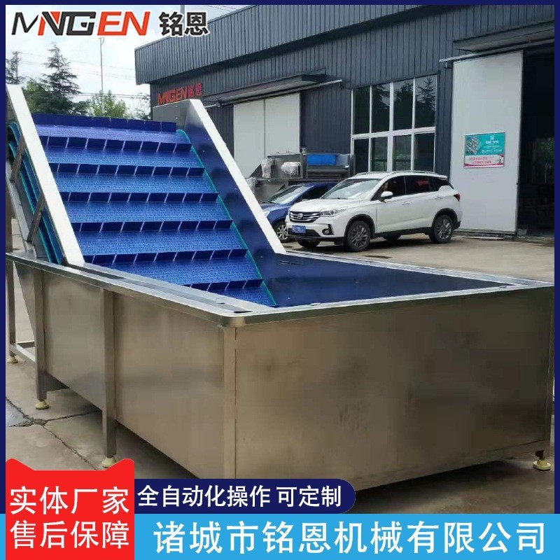 全自动果蔬清洗机 鼓泡喷淋冲浪清洗机 不锈钢玉米蔬菜气泡清洗机图5